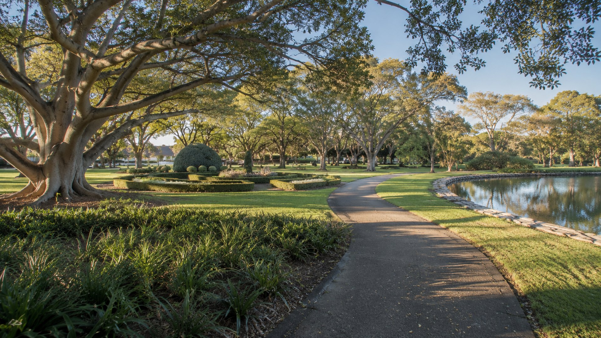 Path beside the lake and Moreton Bay figs in Hyde Park, Highgate, Perth