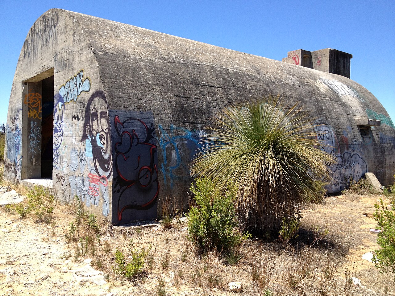 A curved concrete bunker covered in graffiti, with a grass tree and low scrub in front, under a blue sky.