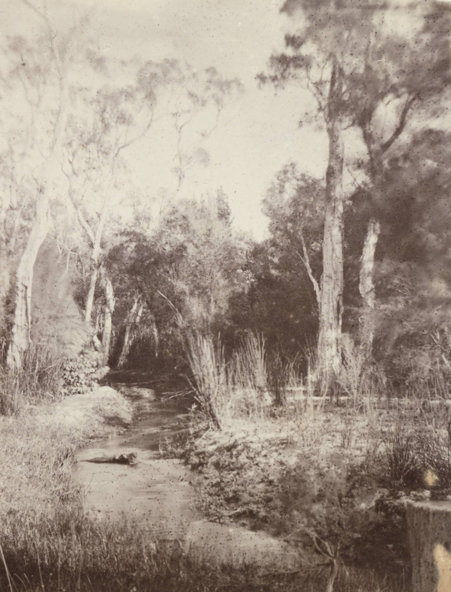 Claise Brook, East Perth, photographed by Alfred Hawes Stone in 1861