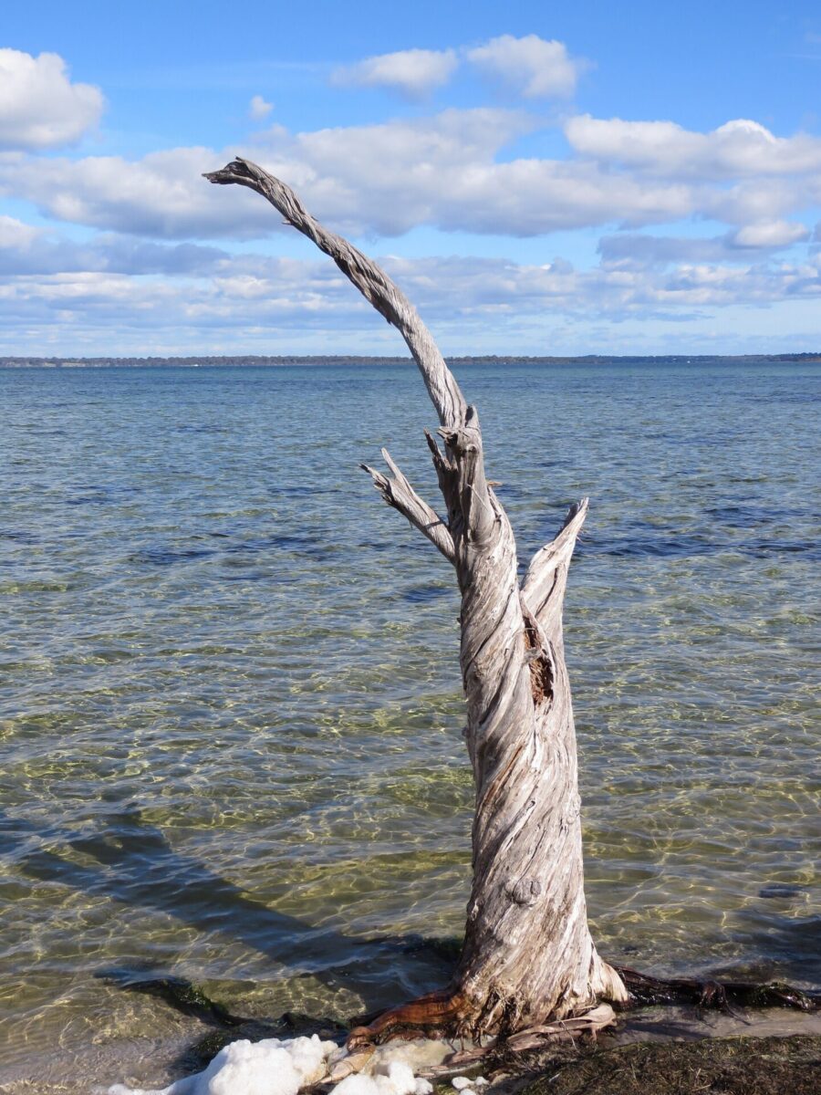 The Peel Inlet shore at Len Howard Conservation Park, Erskine, 2022