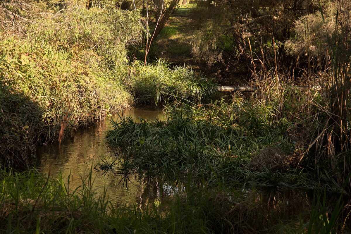 The Southern River
