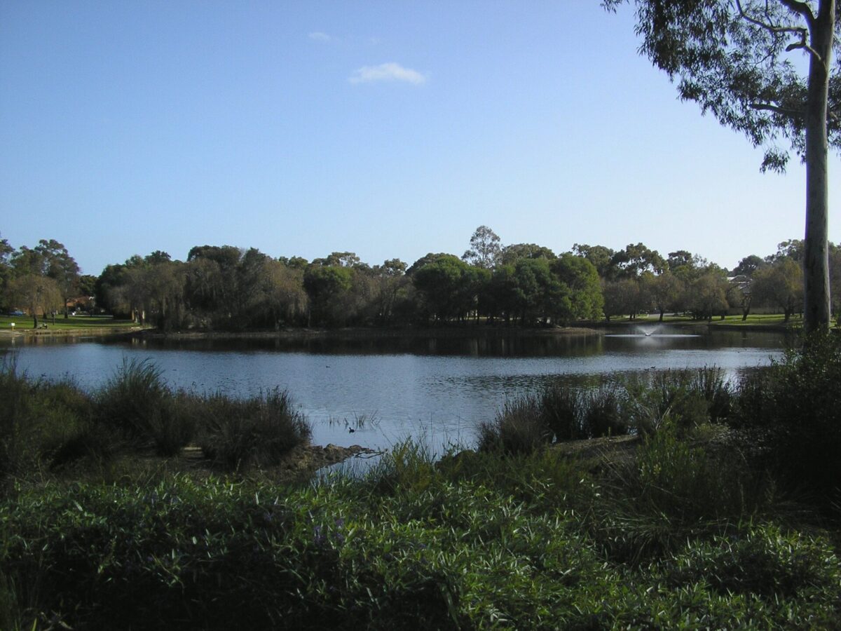Lake Jualbup, Shenton Park